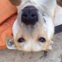 Photo of Sussy