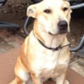 Photo of Sussy
