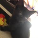 Photo of Monty