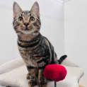 Photo of Wink   Located In Preston