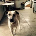 Photo of Zukkah