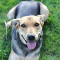 Photo of Misty