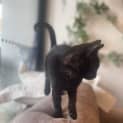 Photo of Patti Located In Preston