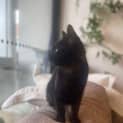 Photo of Patti Located In Preston