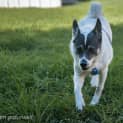 Photo of Sparkles