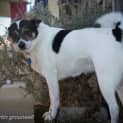 Photo of Sparkles