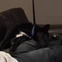 Photo of Jerry