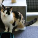 Photo of Evie