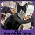 Photo of Kyle