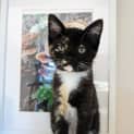 Photo of Berty 