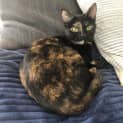 Photo of Nina 