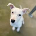 Photo of Dottie