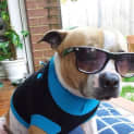 Photo of Boss