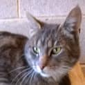 Photo of Graham
