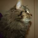 Photo of Sedrick