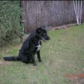 Photo of Skye