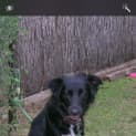 Photo of Skye