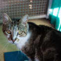 Photo of Milly