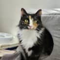 Photo of Jules