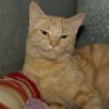 Photo of Charm
