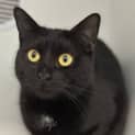 Photo of Kiki