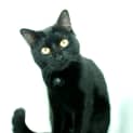 Photo of Kiki