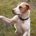 Photo of Maxi