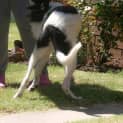 Photo of Murphy