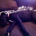 Photo of Cleo