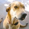 Photo of Jaspa