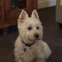 Photo of Applications Have Closed For Loving Lexie