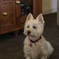 Photo of Applications Have Closed For Loving Lexie