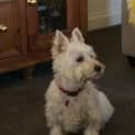 Photo of Applications Have Closed For Loving Lexie