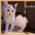 Photo of Archie