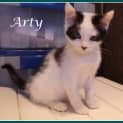 Photo of Arty