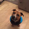 Photo of Chunky