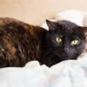 Photo of Freda