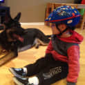Photo of Lochie On Hold Pending Adoption