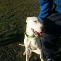 Photo of Polar