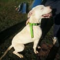 Photo of Polar