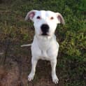 Photo of Polar