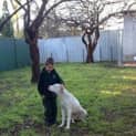 Photo of Polar