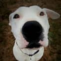 Photo of Polar