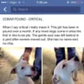 Photo of Polar