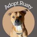 Photo of Rusty