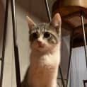 Photo of Blue