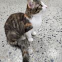 Photo of Mina