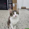 Photo of Mina