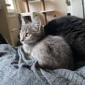 Photo of Fizzy