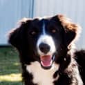 Photo of George